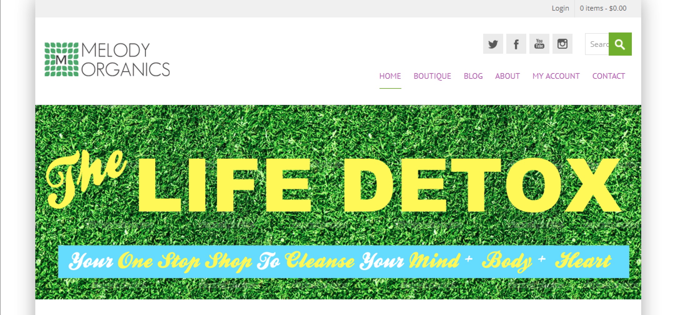The Life Detox